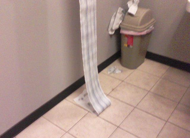 Paper Towel Dispenser in the Ladies' Restroom