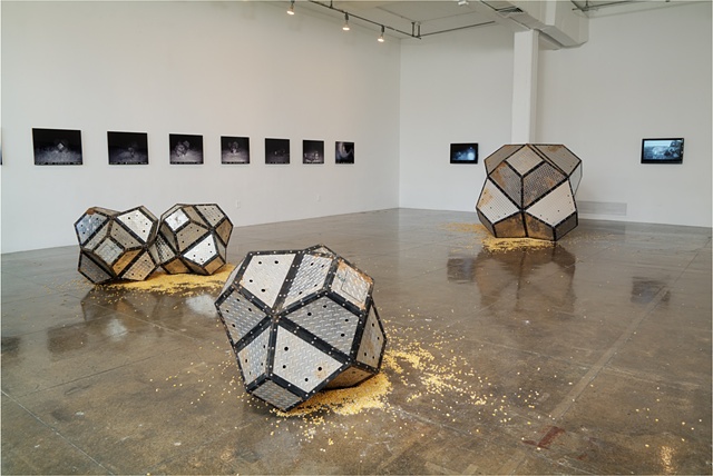 Tush Hog: Artpace Installation 