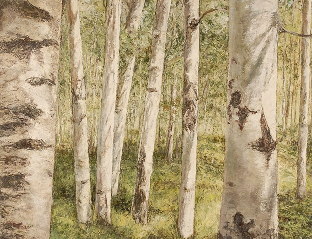 Birch trees landscape oil painting