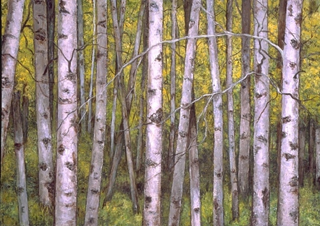 birch trees landscape oil painting on canvas