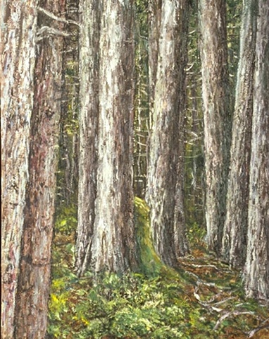 redwoods landscape oil painting on canvas