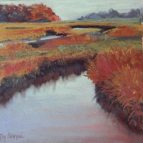 Another Duxbury marsh