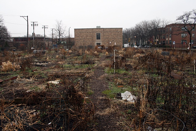 61st Street Community Garden