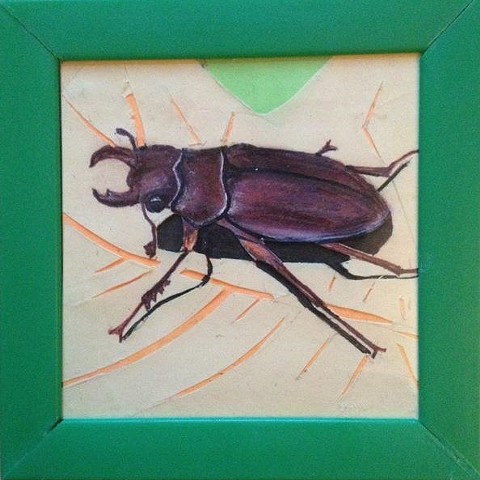 American Stag Beetle