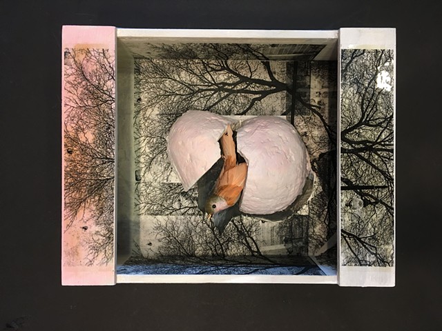 photo assemblage, bird hatching, landscape, sculpture, collage, pink, breast
