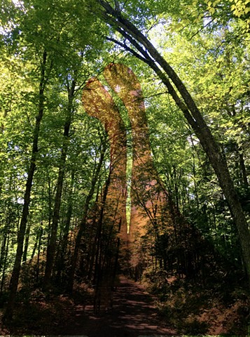 Walking Path