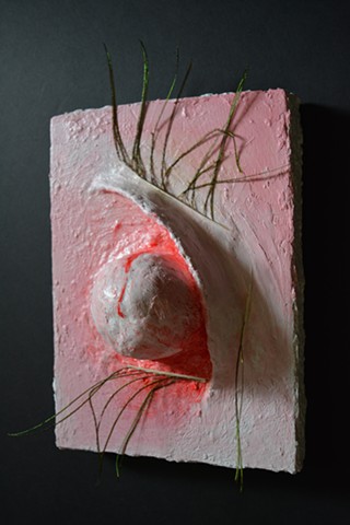 surrealism, assemblage, bio art, feather art, boiomorphic forms, abstract tableau