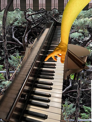 The Piano