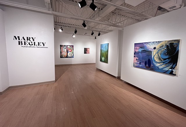 Mary Begley Visual Artist