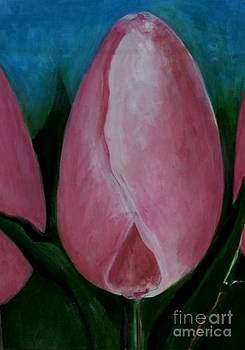 Pink Tulip