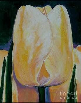 Yellow Tulip