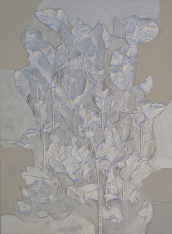 Silver Leaves