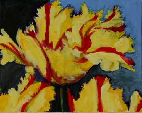 yellow/red parrot tulip