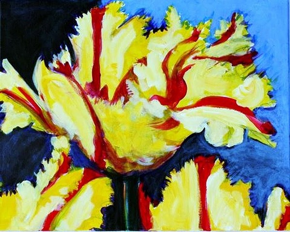 Yellow Parrot