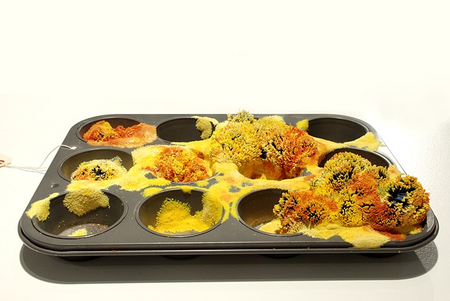 Jasmyne Graybill
Crested Buttercream Polyps
Muffin pan, polymer clay
12” x 8” x 2”