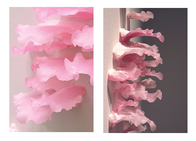 Jasmyne Graybill

Rot
Glycerin soap, rayon fibers
58” x 32” x 7”

