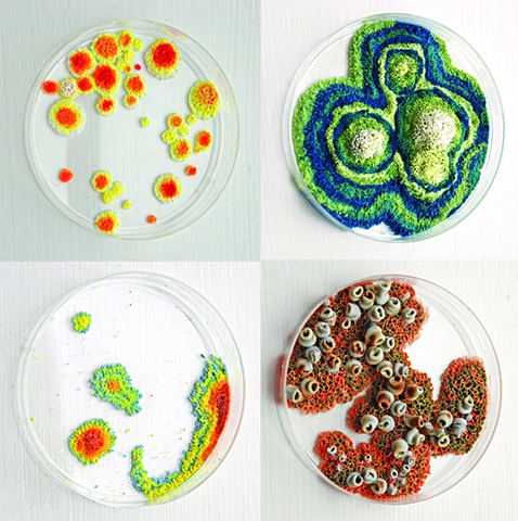 Jasmyne Graybill
Unknown Specimens
Petri dishes, polymer clay, latex
3 ½ “ diameter (each)
