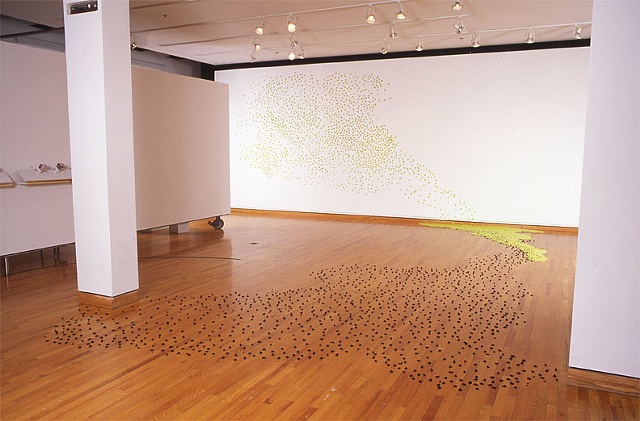an overview of lime pop installation