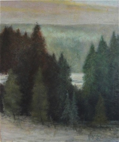 "Pine Evergreen in Winter"