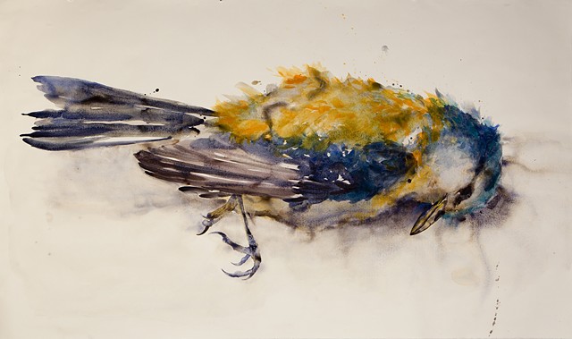 Urban Bird no. 21