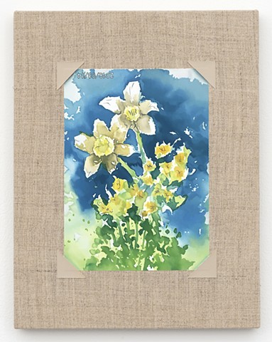 Watercolor of Daffodils