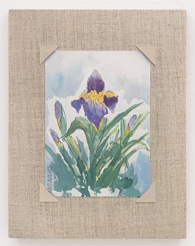 Watercolor of an Iris
