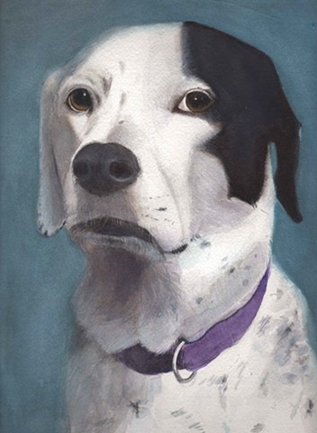 Commissioned Dog Portraits