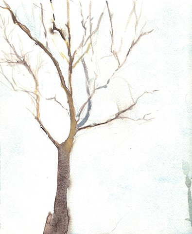 Tree Portrait