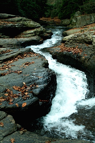A rushing creek near Frank Lloyd Wright's iconic Fallingwater in the Laurel Highlands of Pennsylvania.
