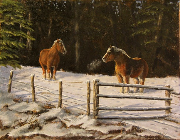 Draft horses revel in a crisp Montana winter morning.