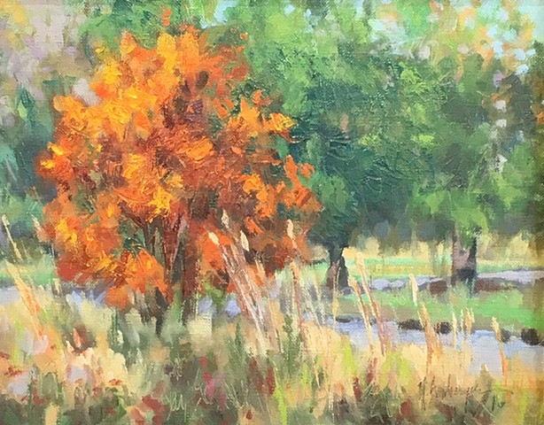Landscape with orange tree