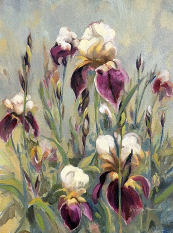 Bearded Iris