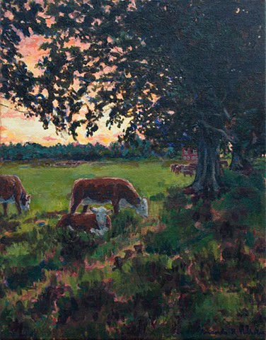 Herefords at Sunset #1