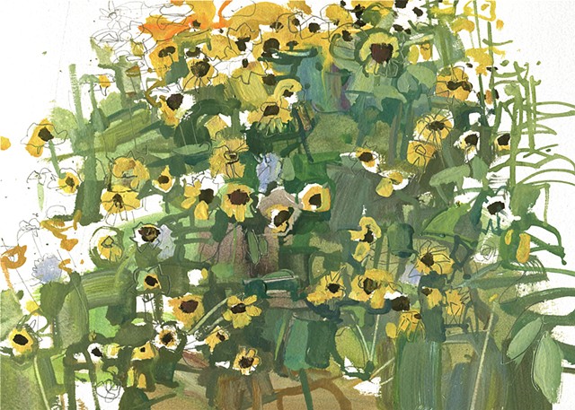 wildflowers (29)