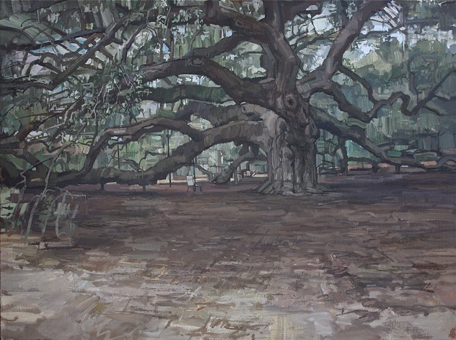 Angel Oak (overcast)