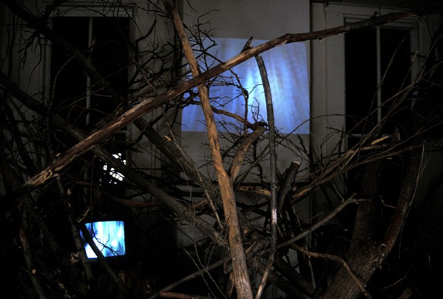 Senior Art Exhibition- Video Installation