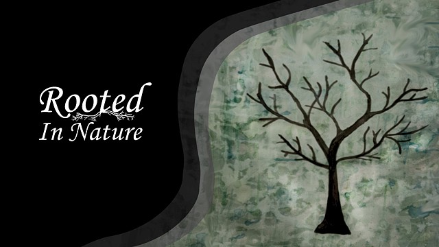 Upcoming Exhibitions