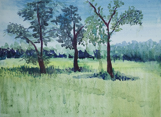 Bee Trees at the Mahler Property, Summer 2016 watercolor painting by Amy Feger