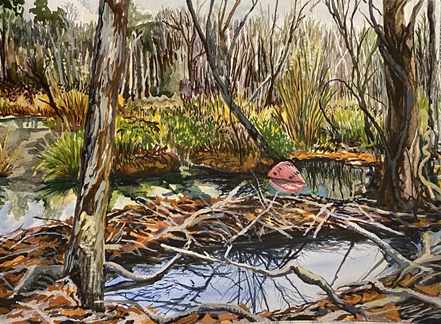Beavers making a wetland at the Montevallo Golf Course in Winter 2022 Framed Watercolor Painting by Amy Feger
