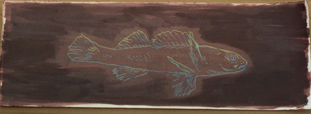 Endangered Darter Fish Mixed Media color pencil drawing on a solar print by artist Amy Feger