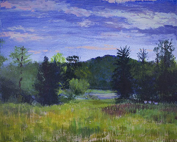 Tova's Meadow, May 15, 2020 acrylic plein air landscape painting by Amy Feger