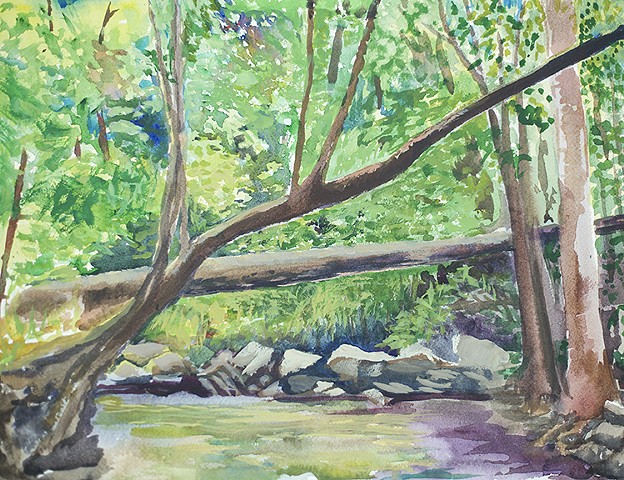 The Swimming Hole on the Southern Edge at the Fallen Log, Shoal Creek Park, Summer 2019 watercolor painting by Amy Feger