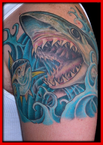 shark tuna 1