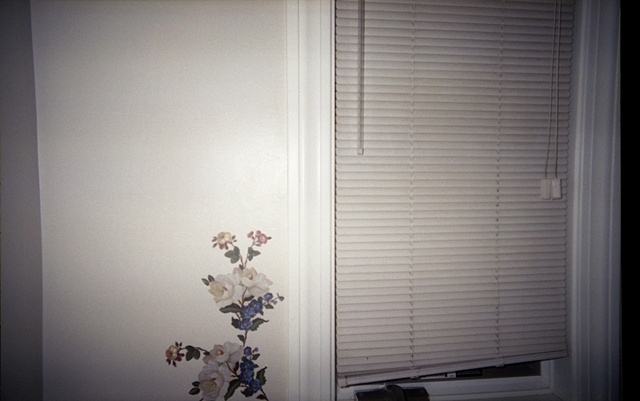 color photograph of floral wallpaper and blinds by iris grimm
