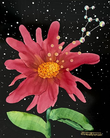 Celestial Flowers