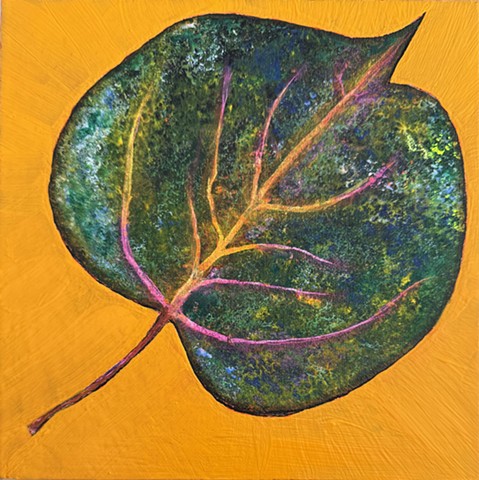 "Aspen"