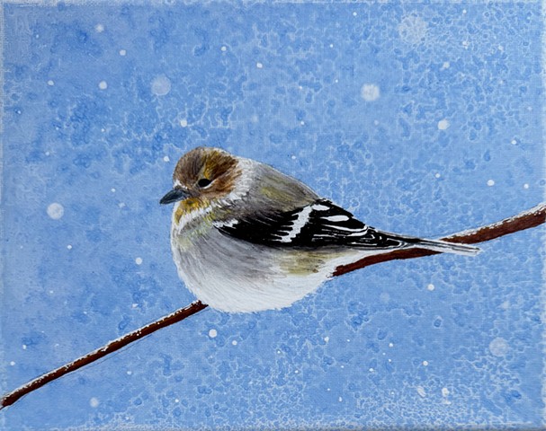 Acrylics & Mixed Media