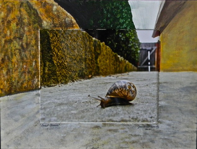 "Snail Scene"
