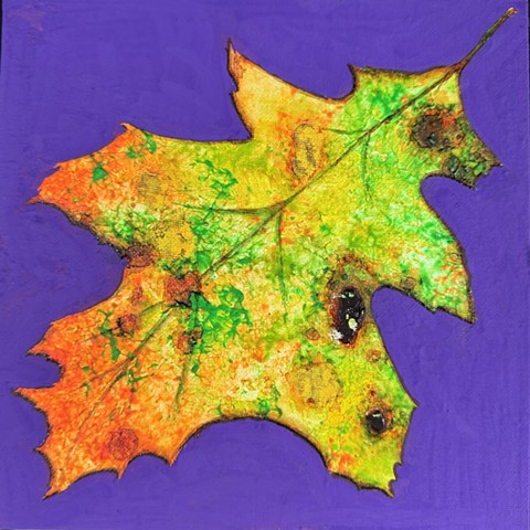 "Oak"