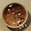 Cells (Spiral) Detail